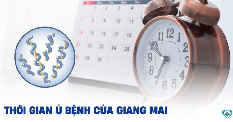 Thời gian ủ bệnh giang mai là bao lâu